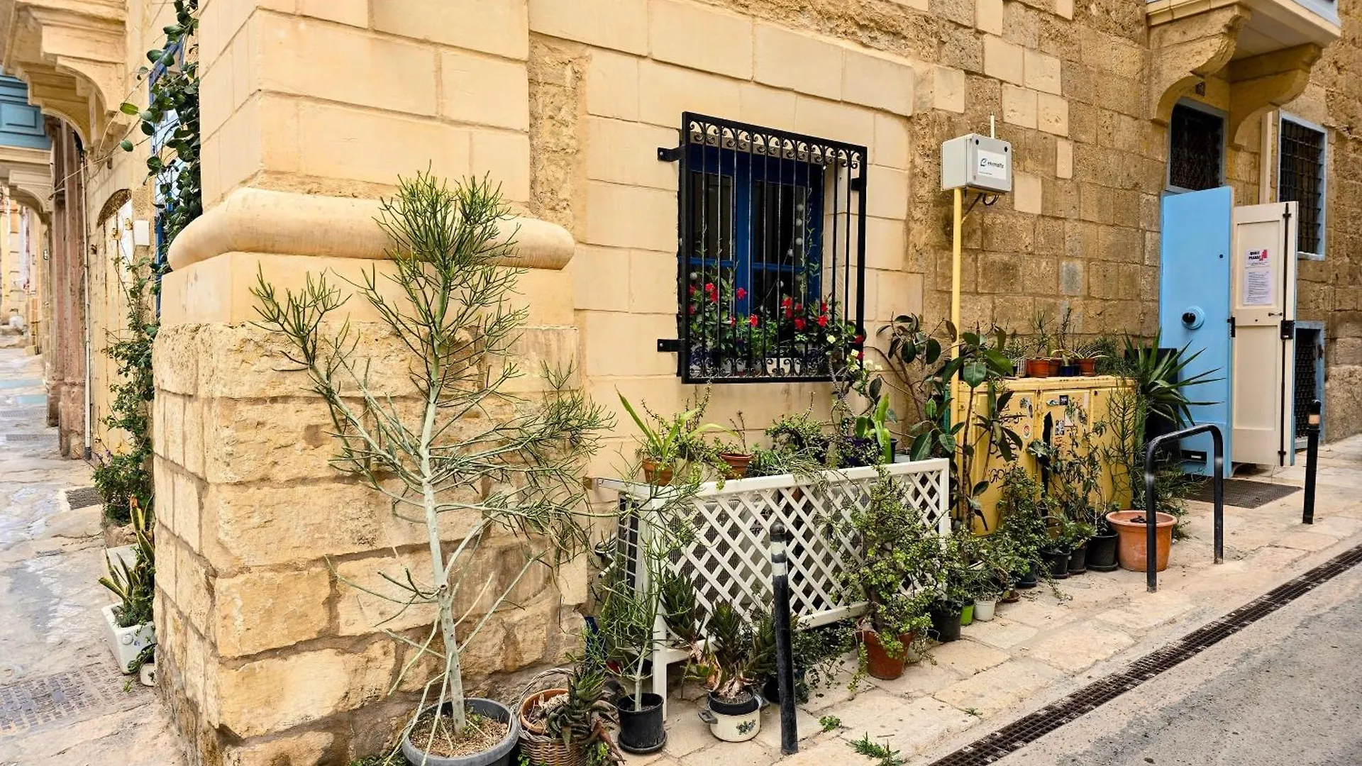The Valletta G-House contacts